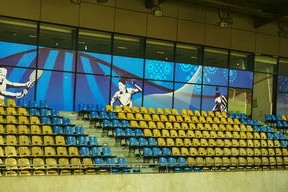 mk体育官网-新加坡队未来计划：建立更完善的青少年乒乓培养体系，新加坡乒乓球运动