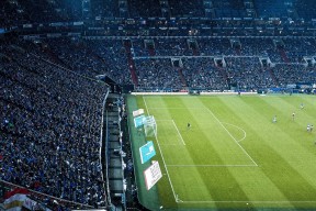 mk体育电脑版-渡边一平蛙泳技术细腻动作流畅，渡边一佑