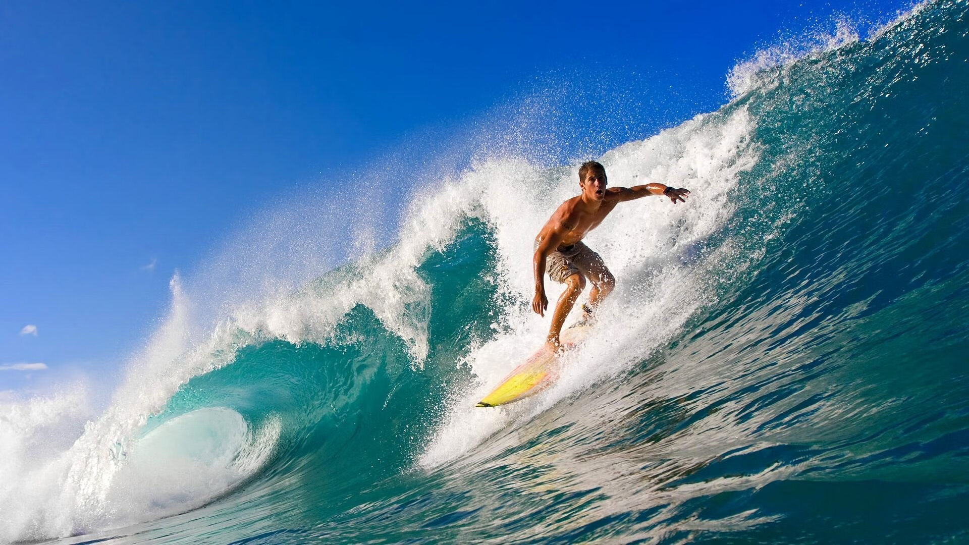 选手划水深度数据分析，选手划水深度数据分析图